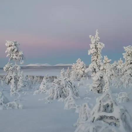 De Cherry Semesterbostad Levi