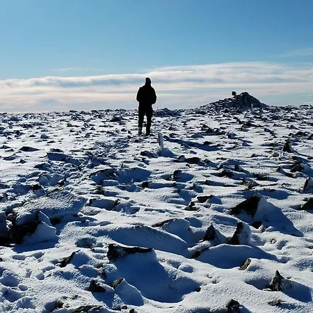 Semesterbostad De Cherry *