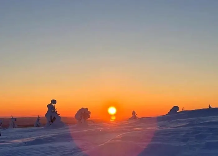 De Cherry 度假居 *