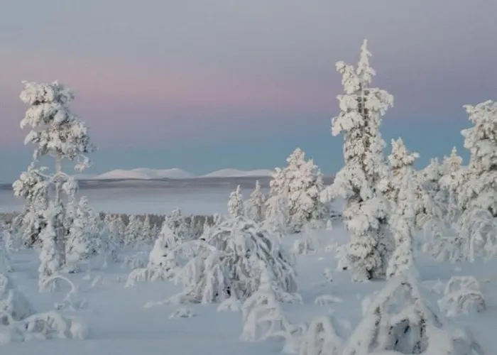 De Cherry Tatil Evi Levi