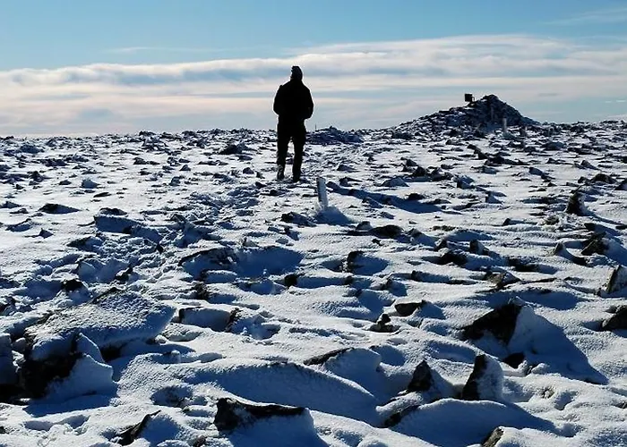 Tatil Evi De Cherry *